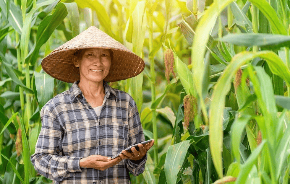 “现正在的只身白叟工什么都通行请保姆？”一位女保姆说出了实情(图3)